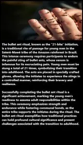 21 Stings to Manhood: The Harrowing Journey of the Bullet Ant Ritual