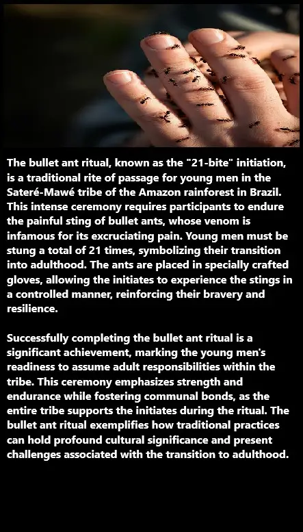 21 Stings to Manhood: The Harrowing Journey of the Bullet Ant Ritual
