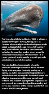 Exploding Whales: When Blubber Meets Blunder