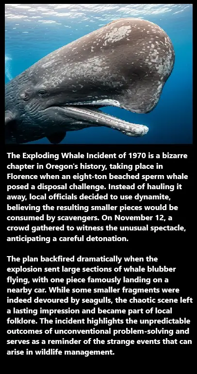 Exploding Whales: When Blubber Meets Blunder