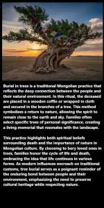 Rooted in Tradition: The Tree Burial Ritual of Mongolia